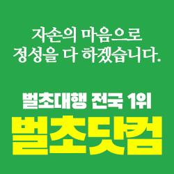 벌초대행 전국 1위 벌초닷컴